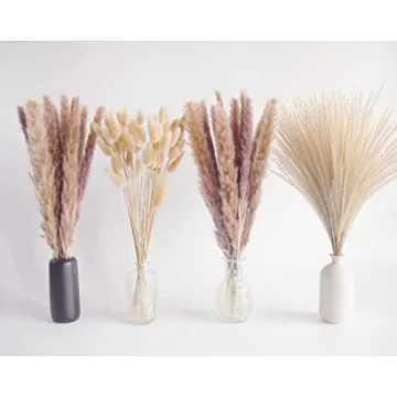 Natural Dried Pampas Grass Decor for Home and Weddings