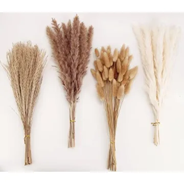 Natural Dried Pampas Grass Decor for Home and Weddings