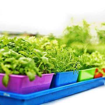 Bootstrap Farmer 5x5 Seed Tray Multi Color - 40 Pack - Extra Strength 5 x 5 Inserts Grow Microgreens, Wheatgrass Seeds, Fodder 1020 System 801 Trays