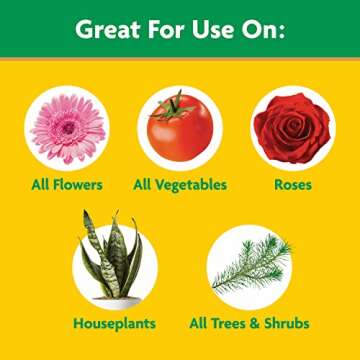 Miracle-Gro Water Soluble All Purpose Plant Food, Plant Fertilizer for Indoor or Outdoor Plants, Roses, Flowers, Houseplants, Vegetables and Trees, 10 lb.