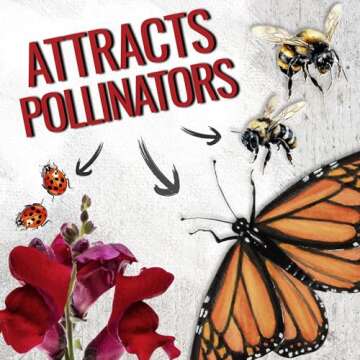 Mixed Tetra Snapdragon Seeds - Vibrant Heirloom Flowers