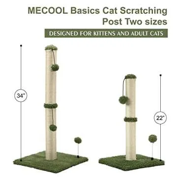 MECOOL 22in Cat Scratching Post for Kittens and Cats