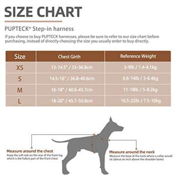 PUPTECK Dog Harness and Leash Set for Small Medium Dogs No Pull Step-in Soft Mesh Puppy Cat Vest Harnesses Reflective at Night, Denim Beige S