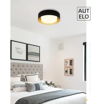 AUTELO Modern Flush Mount Ceiling Light Fixture in Black