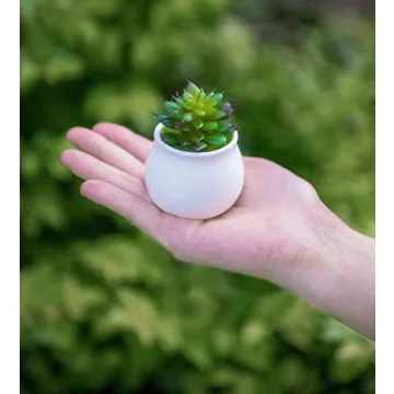 Dahey Mini Macrame Plant Hanger Set - Cute Car Decor