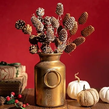 Deloky Large Pinecone Branches for Fall Decorations