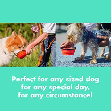 Portable Dog Bowl, Pawssimo 2 Pack Collapsible Silicone Dog, Cat Food & Water Bowl | Multi Use, Travel Cup BPA Free Dishwasher Safe | Compact Dish, Free Carabiner