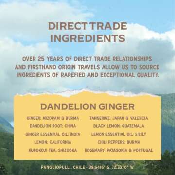 Rishi Tea Dandelion Ginger Sparkling Botanicals Sparkling Water - Organic, Unsweetened, Zero Added Sugar, Caffeinated, Craft-Brewed From Real Plants - 12 oz (Pack of 12)