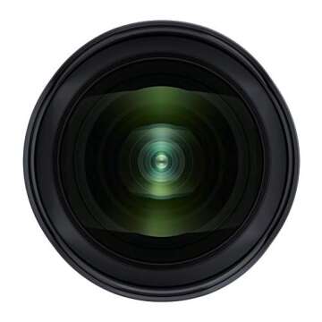 Tamron AFA041N700 SP 15-30mm F/2.8 Di VC USD G2 for Nikon Digital SLR Camera, Black