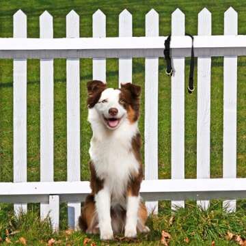 PetSafe KeepSafe Break-Away Collar, Prevent Collar Accidents for Your Dog or Puppy, Improve Safety, ...