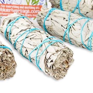 6 Pack White Sage ~ Sage Smudge Sticks for Smudging & Cleansing Energy ~ Bulk/Wholesale ~ Sustainabl...