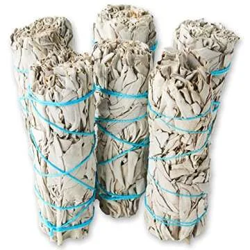 6 Pack White Sage ~ Sage Smudge Sticks for Smudging & Cleansing Energy ~ Bulk/Wholesale ~ Sustainably Grown (6 Pack)
