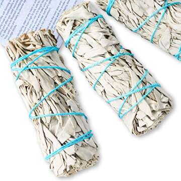 6 Pack White Sage ~ Sage Smudge Sticks for Smudging & Cleansing Energy ~ Bulk/Wholesale ~ Sustainably Grown (6 Pack)