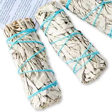 6 Pack White Sage ~ Sage Smudge Sticks for Smudging & Cleansing Energy ~ Bulk/Wholesale ~ Sustainably Grown (6 Pack)