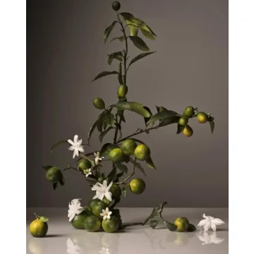 Homecourt Neroli Leaf Luxury Dish Soap for Every Kitchen