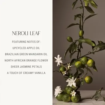 Homecourt Neroli Leaf Luxury Dish Soap for Every Kitchen
