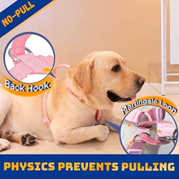 DF No Pull Martingale Harness for Comfortable Dog Training