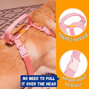 DF No Pull Martingale Harness for Comfortable Dog Training