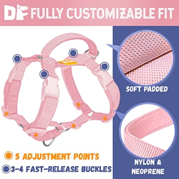 DF No Pull Martingale Harness for Comfortable Dog Training