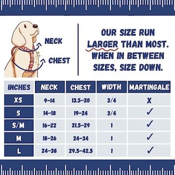 DF No Pull Martingale Harness for Comfortable Dog Training