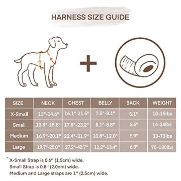 DF No Pull Martingale Harness for Comfortable Dog Training