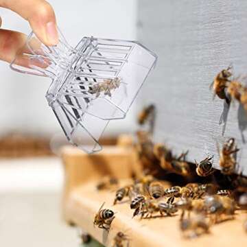 WINOMO Bee Queen Catcher Plastic Queen Bee Cage Clips Beekeeping Tools 5pcs (Transparent)