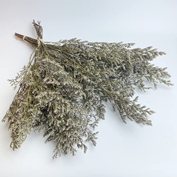 Birtlynn Preserved Caspia Statice Flower Bouquets, 100% Natural Long Lasting Flowers, 17 Inch Arrang...