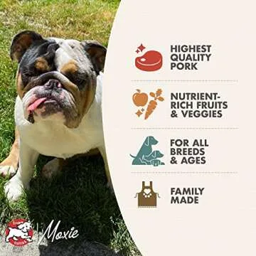 Fromm Four-Star Nutritionals Pork & Peas Dog Food - Premium Dry Dog Food - Pork Recipe - 4 lb