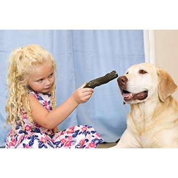 GNAWLY DOG Chew Toys for Aggressive Chewers - 5 Pack