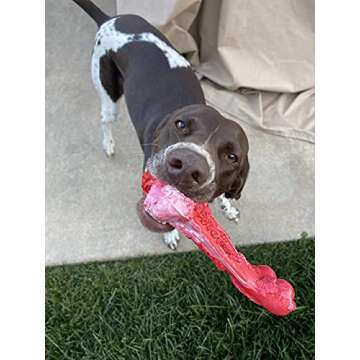 GNAWLY DOG Chew Toys for Aggressive Chewers - 5 Pack