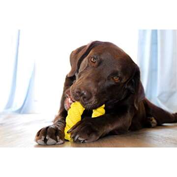 GNAWLY DOG Chew Toys for Aggressive Chewers - 5 Pack