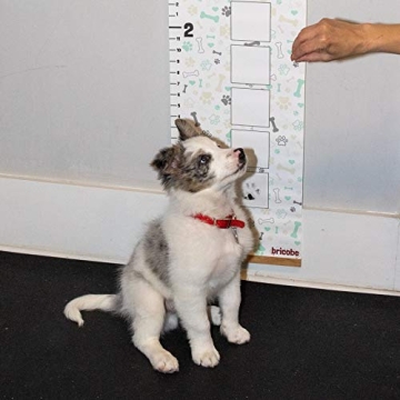 Bricobe Puppy Growth Chart and Paw Print Kit for Dogs