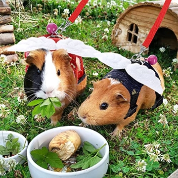Floral Guinea Pig Harness and Leash Set for Small Pets