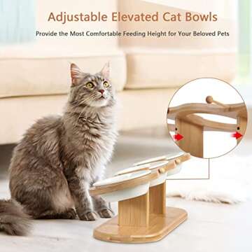 CILXGQLN Elevated Cat Bowls, 2 Heights Adjustable Raised Dog Bowl Stand, 3 Ceramic Bowls for Cats and Small Dogs, 15° Tilted