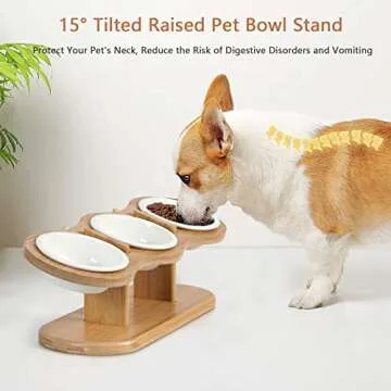 CILXGQLN Elevated Cat Bowls, 2 Heights Adjustable Raised Dog Bowl Stand, 3 Ceramic Bowls for Cats and Small Dogs, 15° Tilted