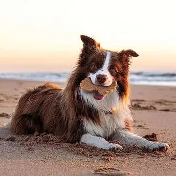 Indestructible Dog Chew Toys for Aggressive Chewers - 3 Pack