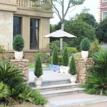 3 Foot Artificial Cedar Topiary Trees for Indoor Outdoor Use