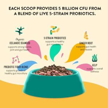 Happy Go Healthy Dog Gut Health Probiotics Supplement | Improves Digestive Health and Immune System Support for Dogs and Puppies | All Natural Ingredients Tasty Kibble Dog Food Topper | 60 Count Pack