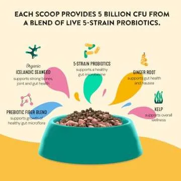 Happy Go Healthy Dog Gut Health Probiotics Supplement | Improves Digestive Health and Immune System Support for Dogs and Puppies | All Natural Ingredients Tasty Kibble Dog Food Topper | 60 Count Pack