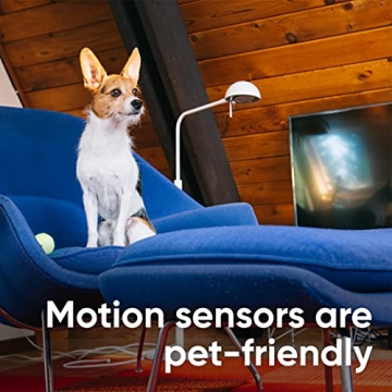 Wyze Home Security Core Kit with Hub and Sensors