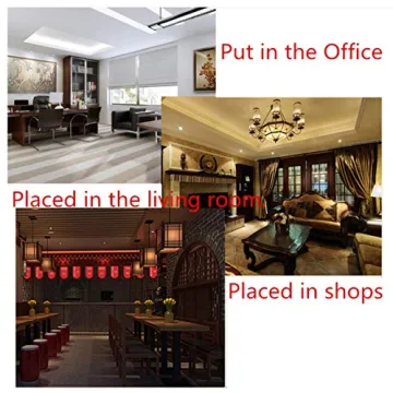 Xiulin Feng Shui Bronze Pixiu Set for Fortune