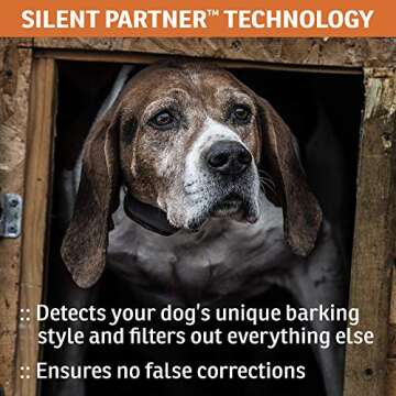 SportDOG NoBark SBC-R Bark Collar for Effective Training