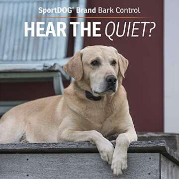 SportDOG NoBark SBC-R Bark Collar for Effective Training