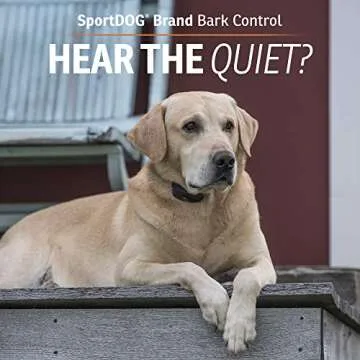 SportDOG NoBark SBC-R Bark Collar for Effective Training