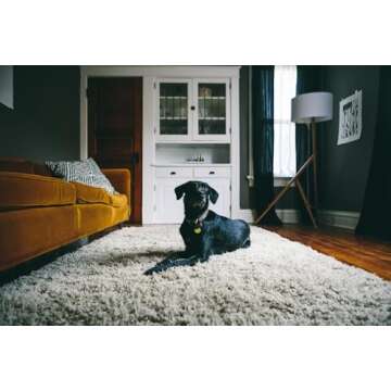 OxiClean® Carpet Pet Stain Remover 24oz