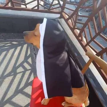 Pet Cat/Dog Nun Costume Clothing- Cute Funny Sister Habit Dress Outfit for Halloween Christmas Festival Cosplay Party (Small)