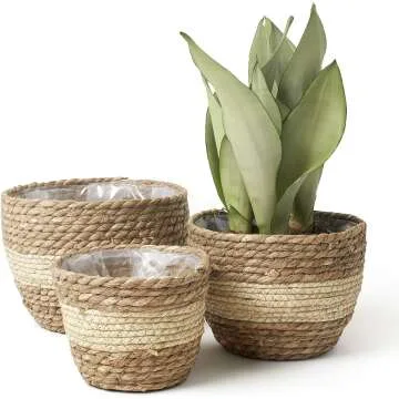La Jolie Muse Seagrass Planter Basket - Beige 10 Inch