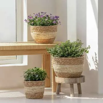 La Jolie Muse Seagrass Planter Basket - Beige 10 Inch