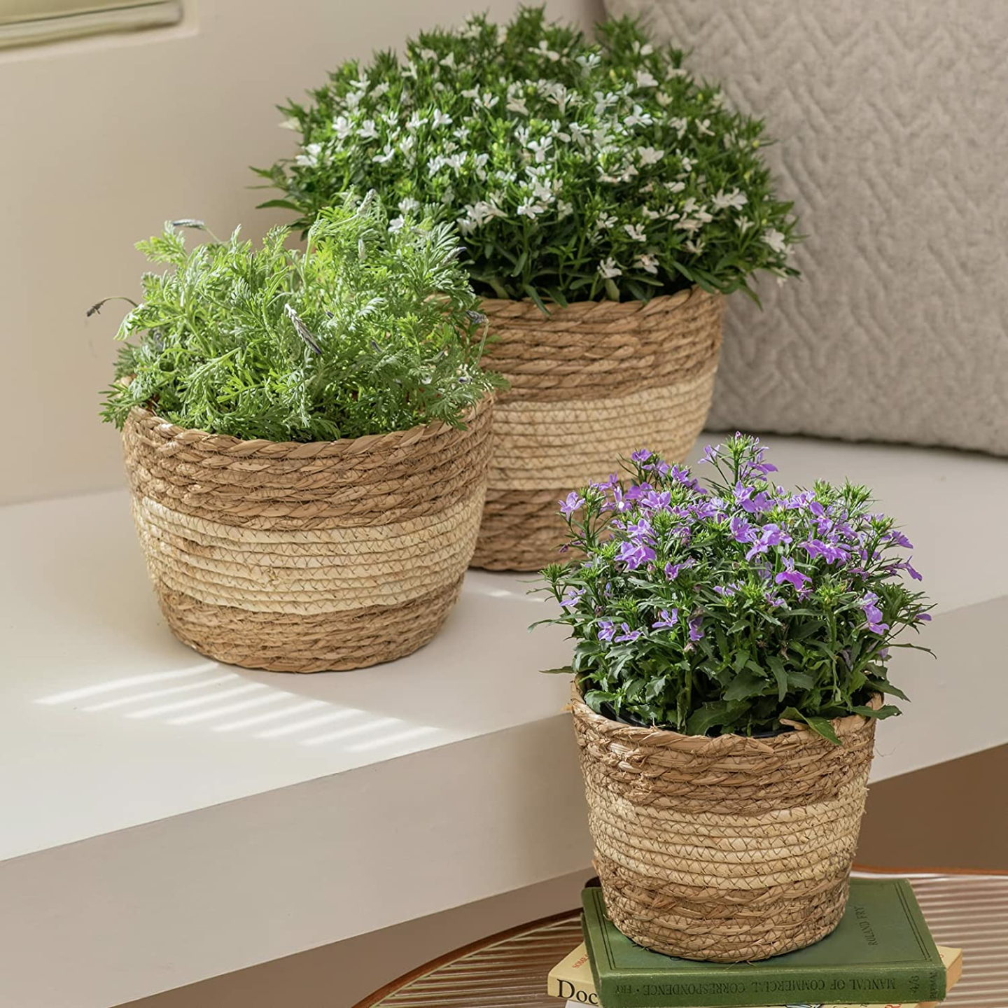 La Jolie Muse Seagrass Planter Basket - Beige 10 Inch