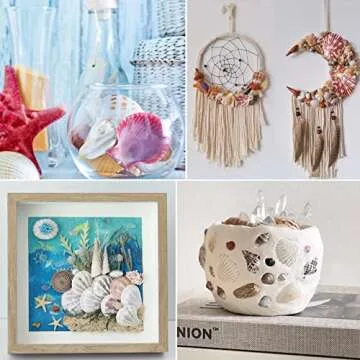 Scallop Shells for DIY Crafts, Home Decor - 50 pcs